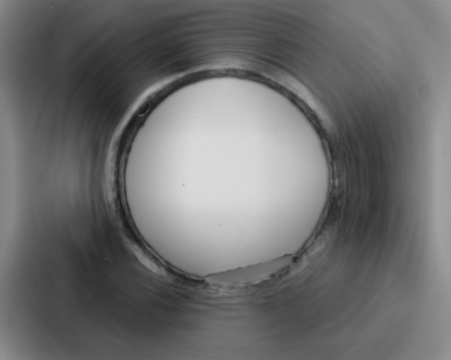 X0000086931116200705141737