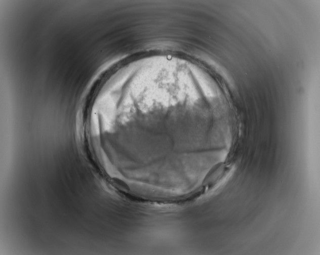 X0000086931117200705141737