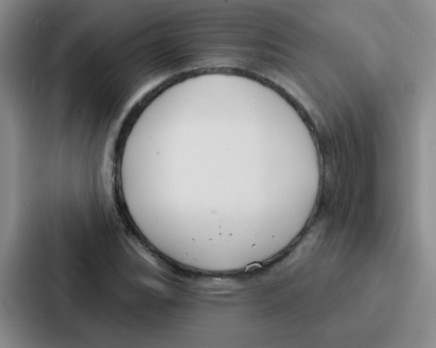 X0000086931119200705141737