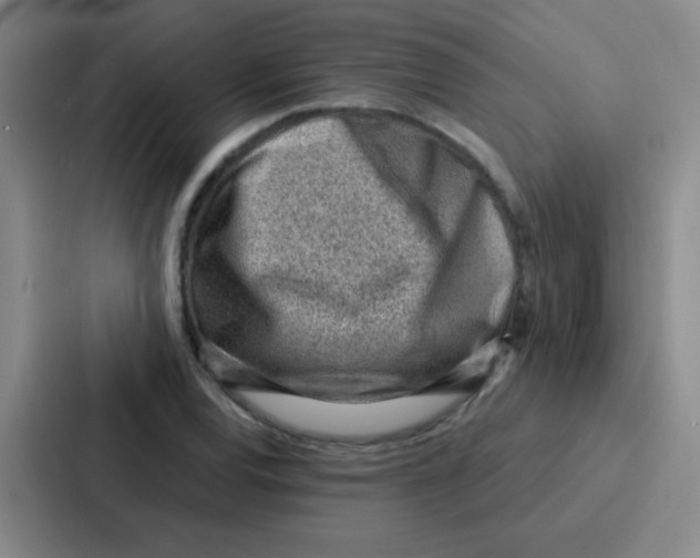 X0000086931120200705141737