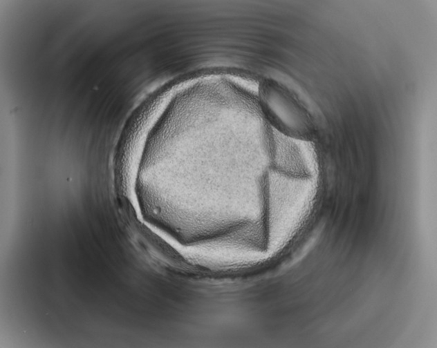 X0000086931121200705141737