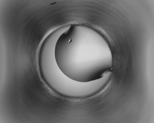 X0000086931122200705141737