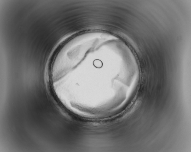 X0000086931125200705141737