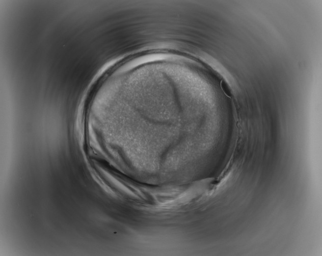 X0000086931127200705141737