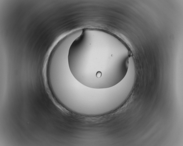 X0000086931128200705141737