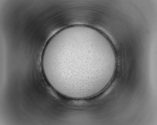 X0000086931129200705141737