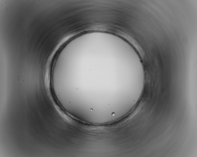 X0000086931131200705141737