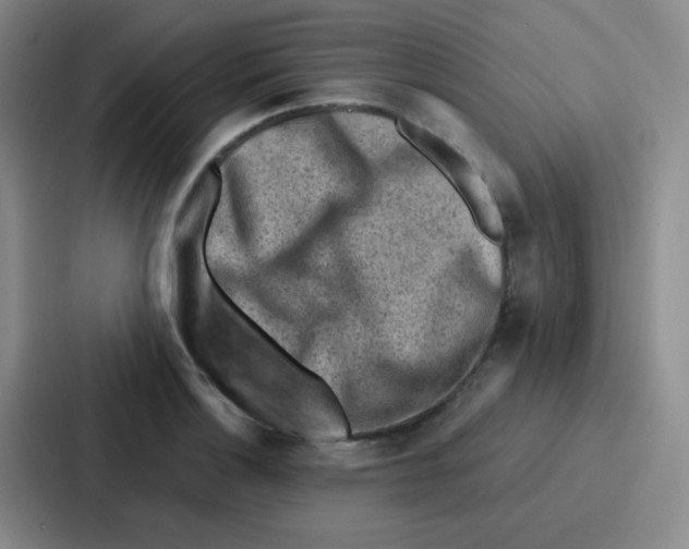 X0000086931132200705141737