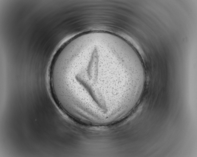 X0000086931133200705141737