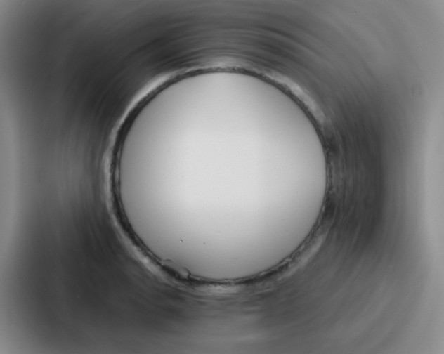 X0000086931134200705141737