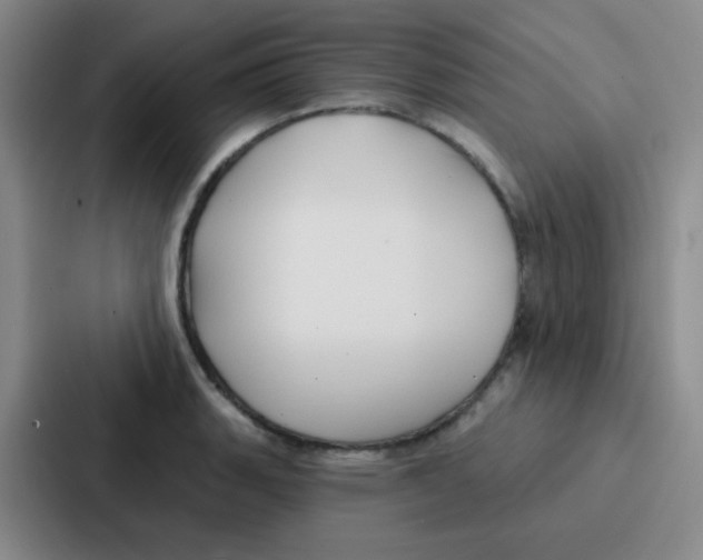 X0000086931135200705141737