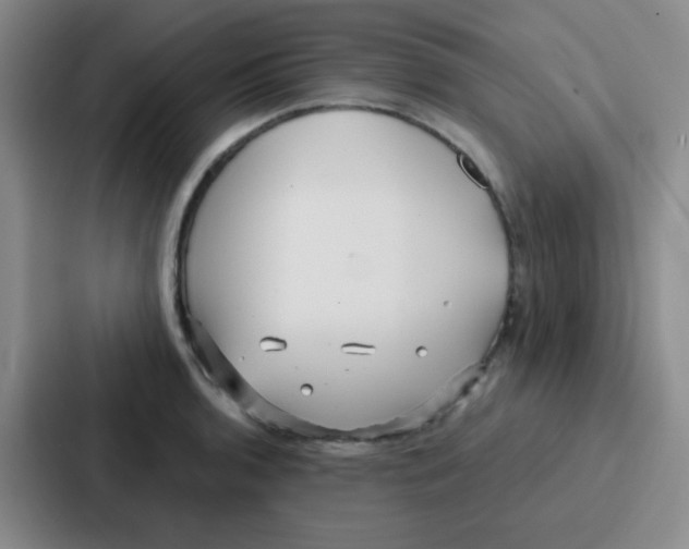 X0000086931136200705141737