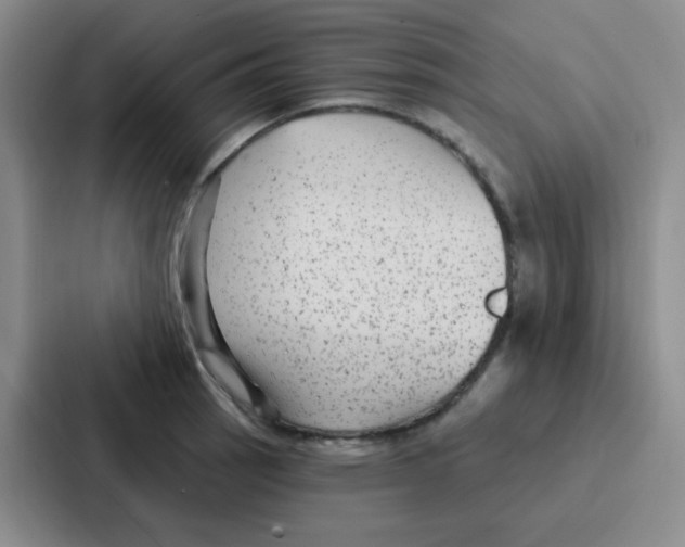 X0000086931137200705141737