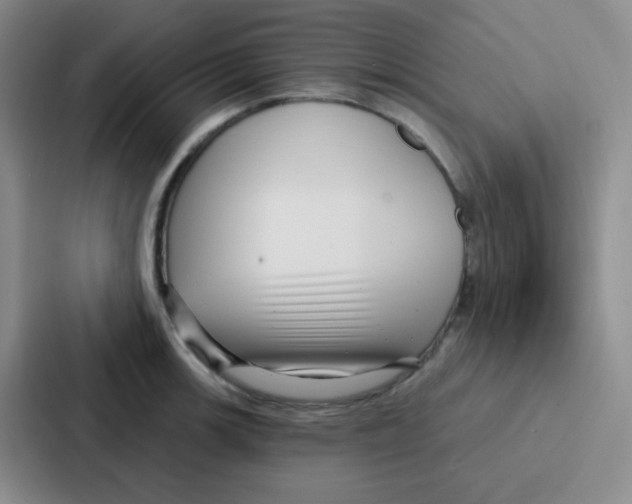 X0000086931139200705141737