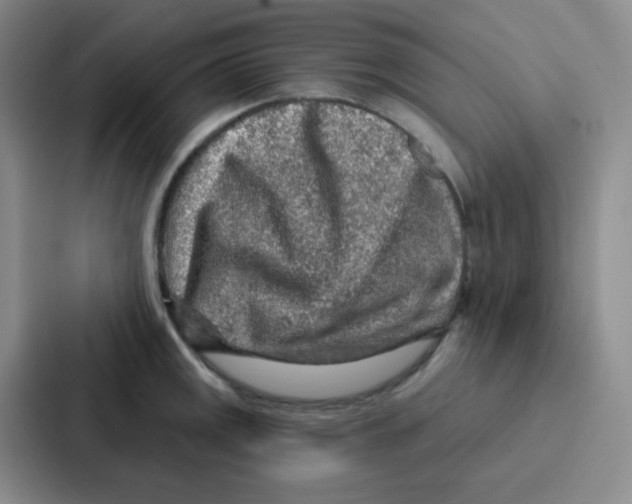 X0000086931141200705141737