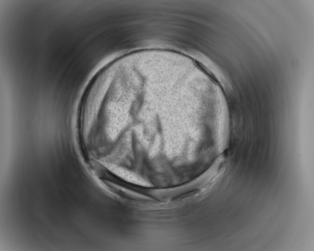 X0000086931142200705141737