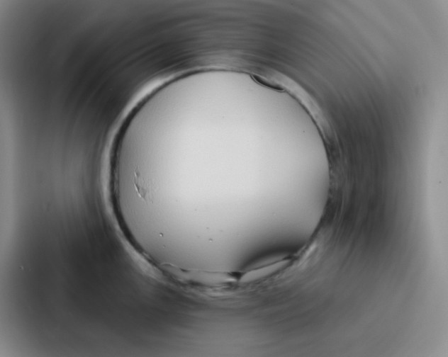 X0000086931147200705141737