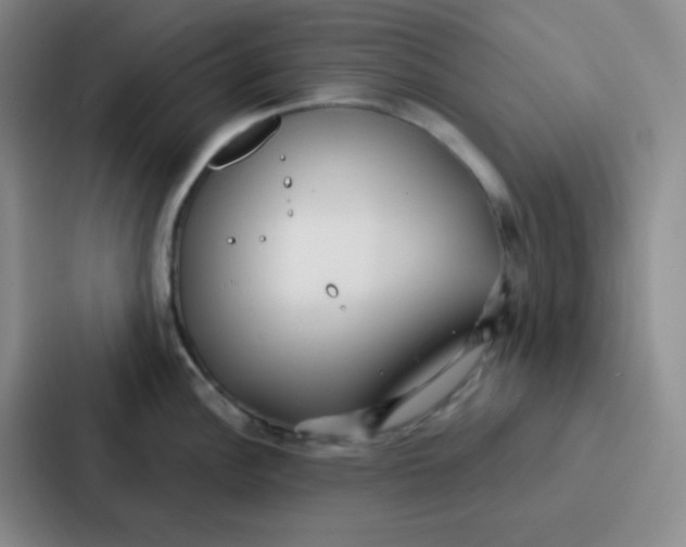 X0000086931148200705141737