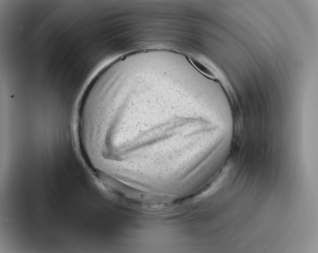 X0000086931149200705141737