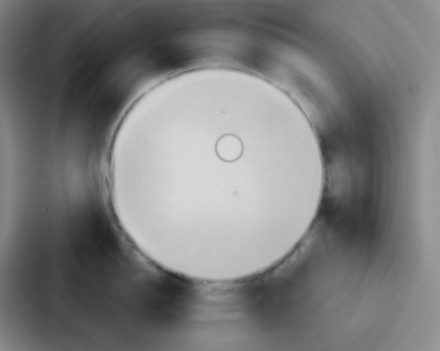 X0000086931150200705141737