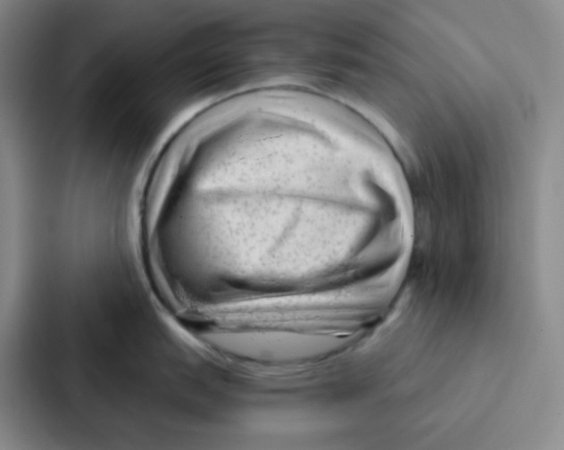 X0000086931151200705141737