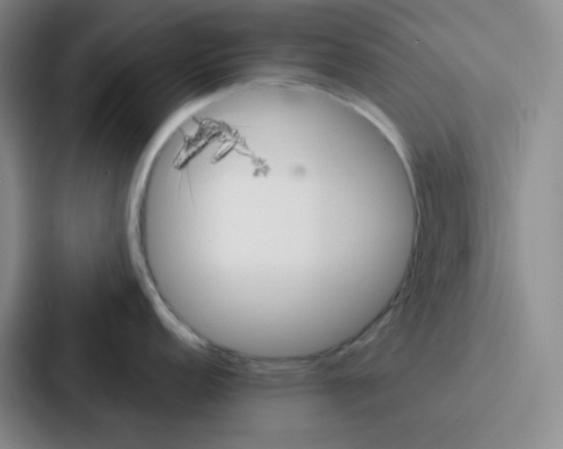 X0000086931152200705141737