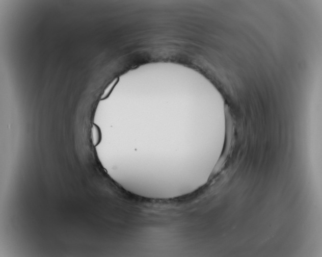 X0000086931153200705141736