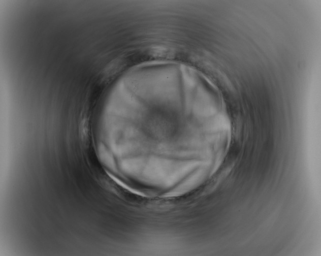 X0000086931154200705141736