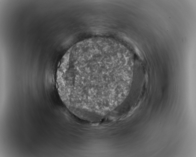 X0000086931155200705141736