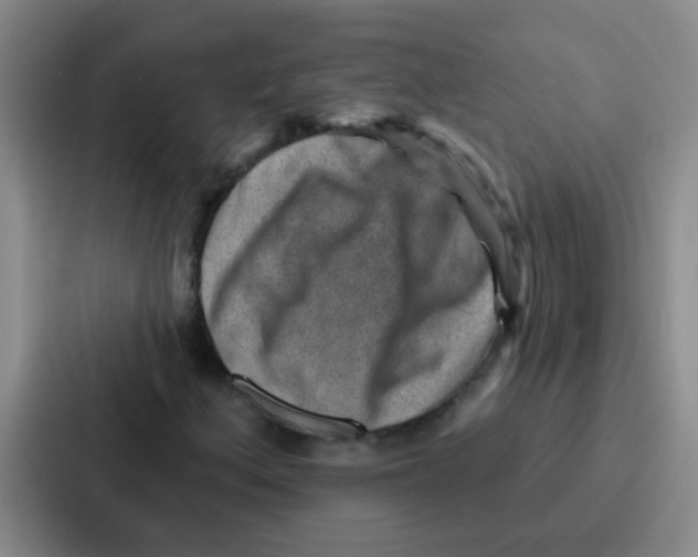 X0000086931156200705141736