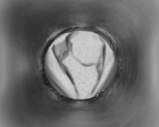 X0000086931160200705141736