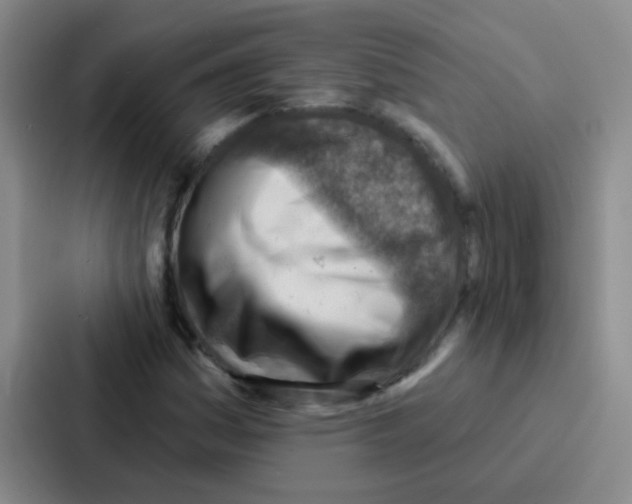 X0000086931161200705141736