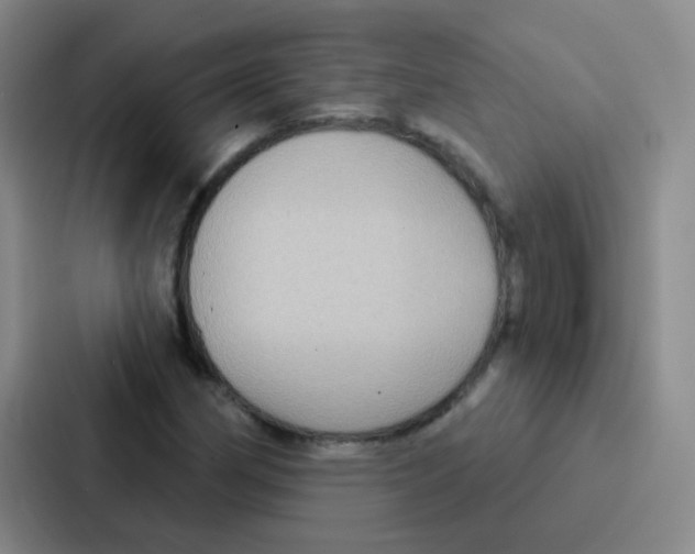 X0000086931162200705141736