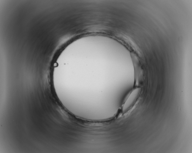 X0000086931164200705141736