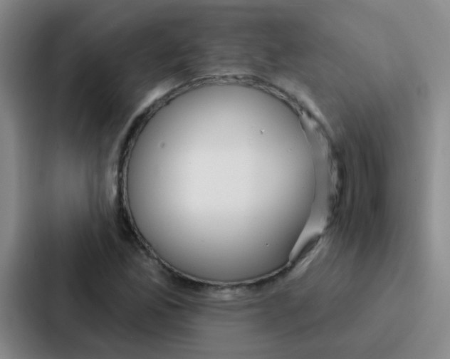 X0000086931165200705141736