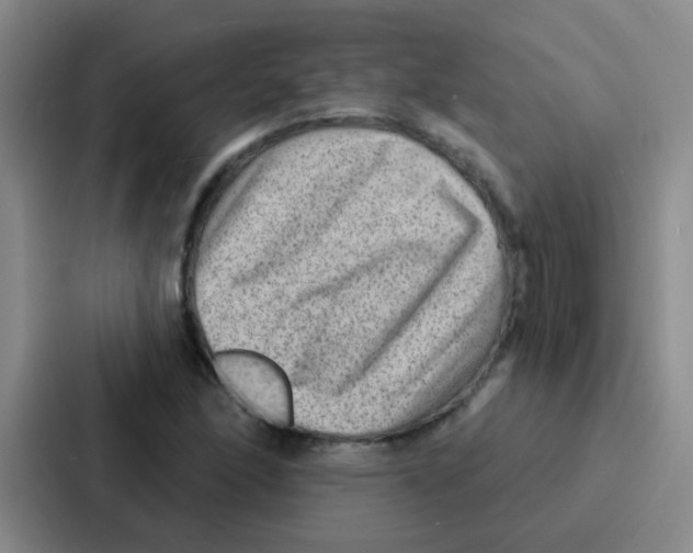 X0000086931166200705141736