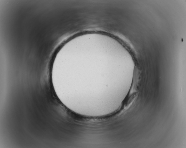 X0000086931167200705141736