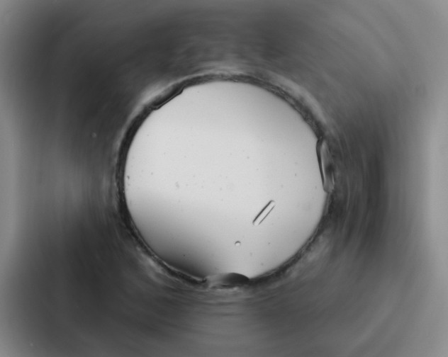 X0000086931168200705141736