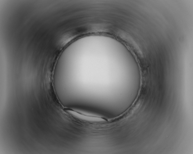 X0000086931169200705141736