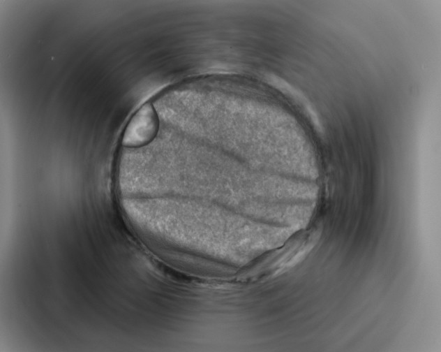 X0000086931170200705141736