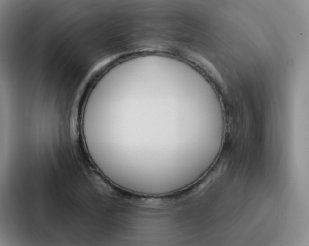 X0000086931172200705141736