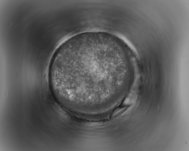 X0000086931173200705141736