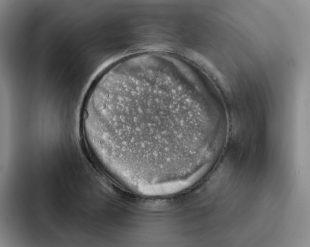 X0000086931174200705141736