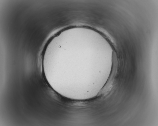 X0000086931175200705141736