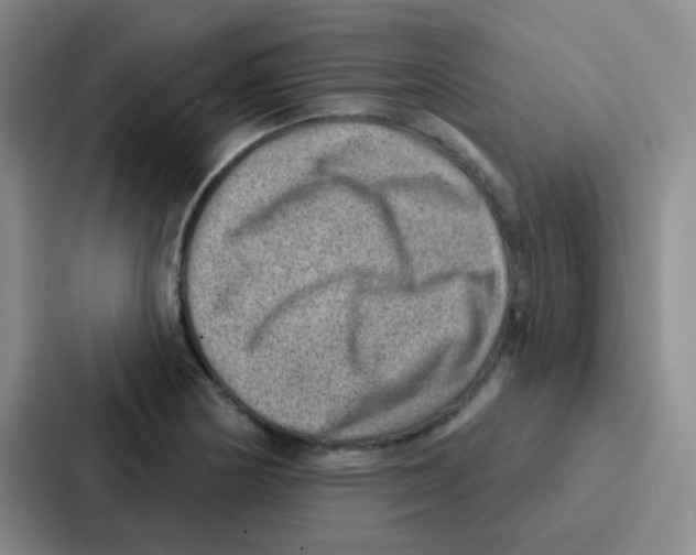 X0000086931178200705141736