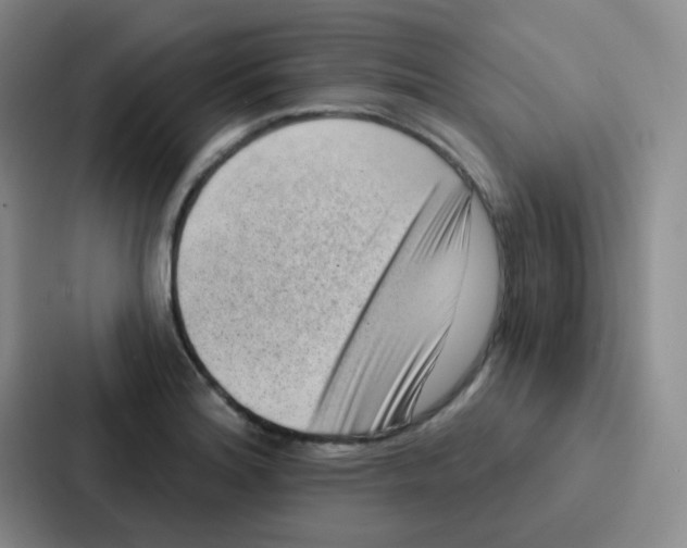 X0000086931180200705141736