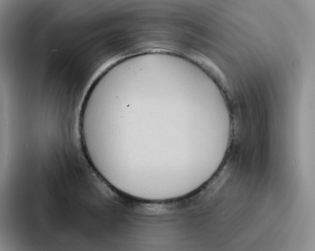 X0000086931182200705141736