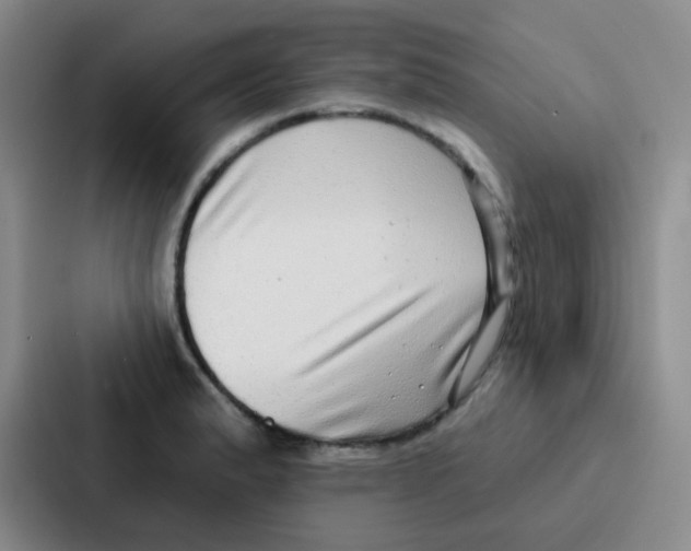 X0000086931183200705141736