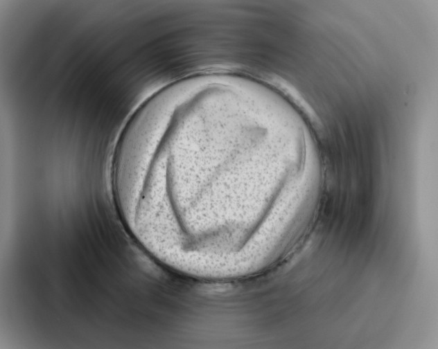 X0000086931186200705141736