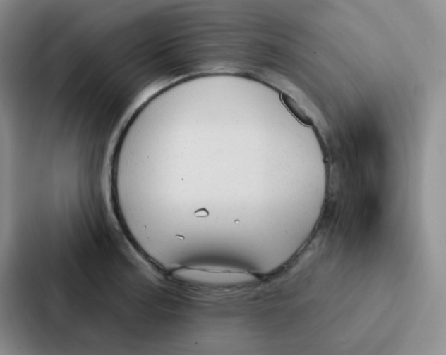 X0000086931187200705141736